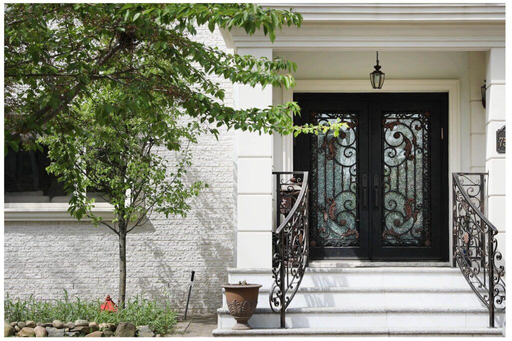 Nova Royal Series Wrought Iron Custom Exterior Door Style 006