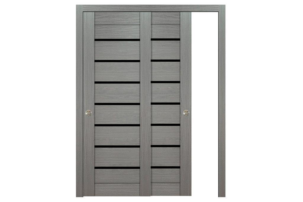 Domino 01 Wenge Modern Laminated Modern Interior Door - Bypass Door